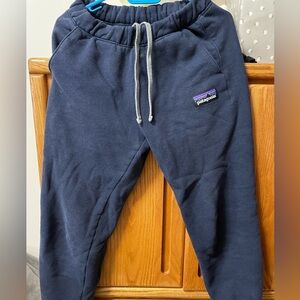 Patagonia sweat pants